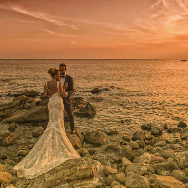 Hector & Βασιλεία