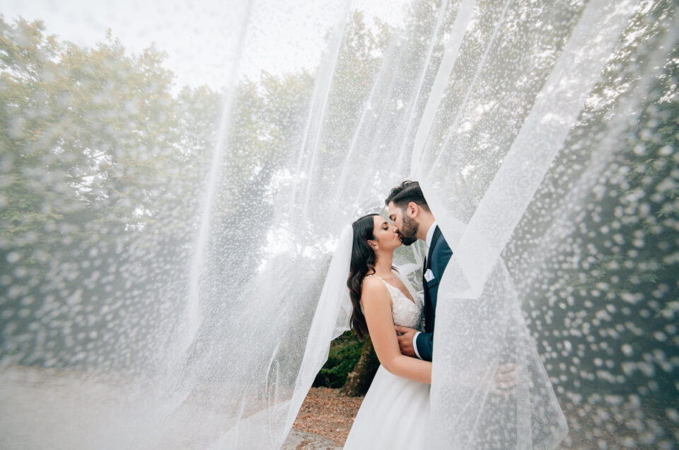 241423124_253325396793009_2246168515179886138_n